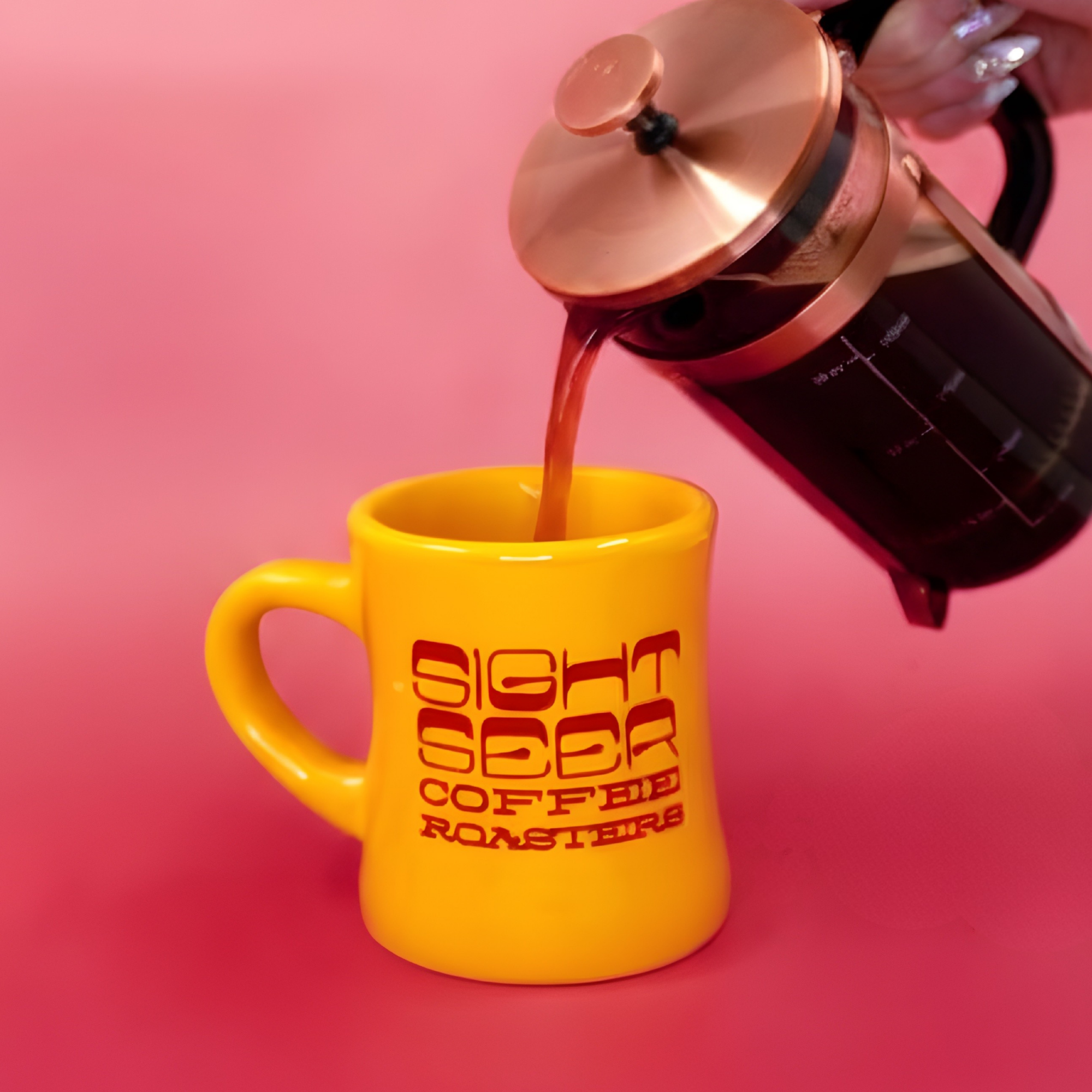 <p>Brew Guide: </p>French Press