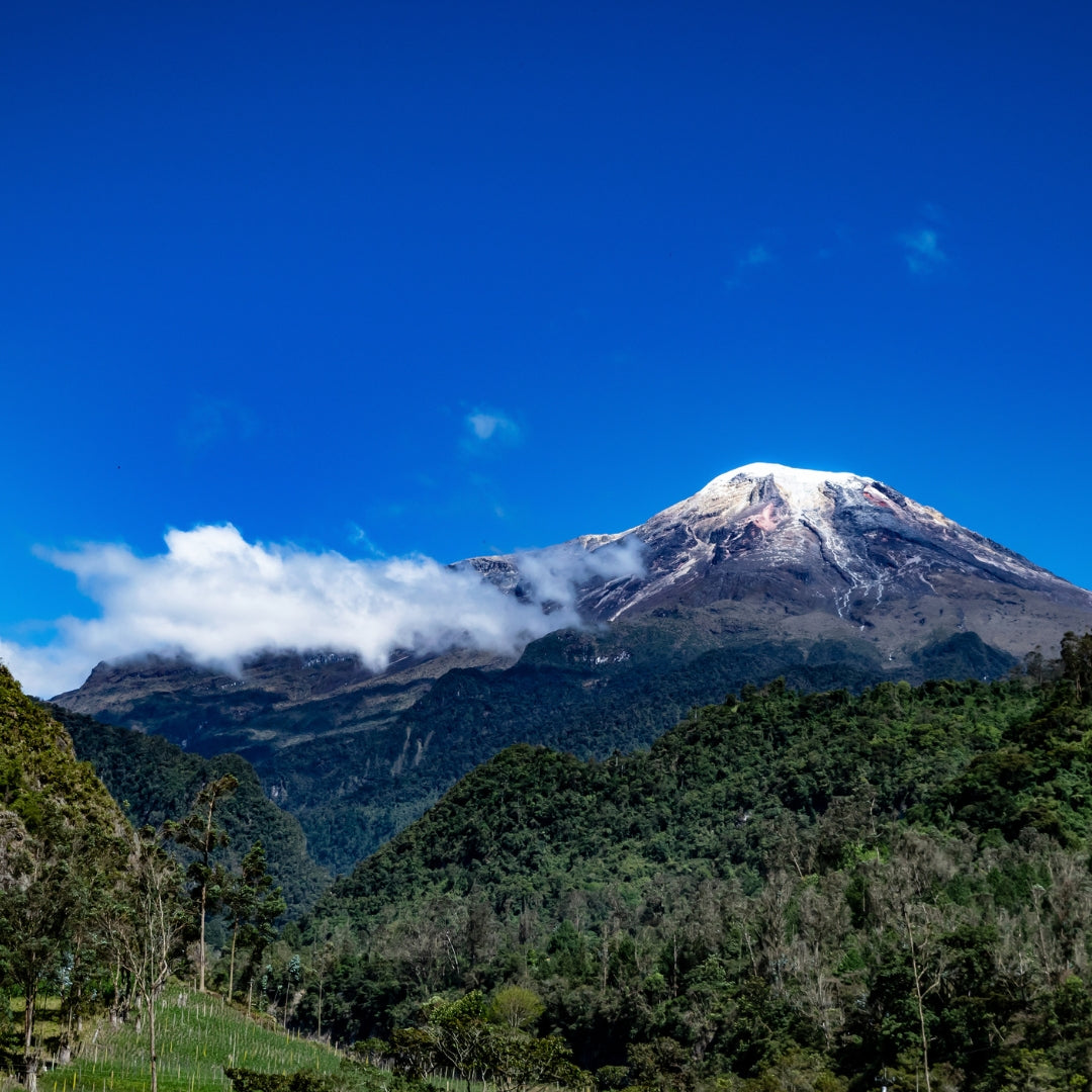 Coffee Origin Stories: El Vergel Farm & Eventide Decaf