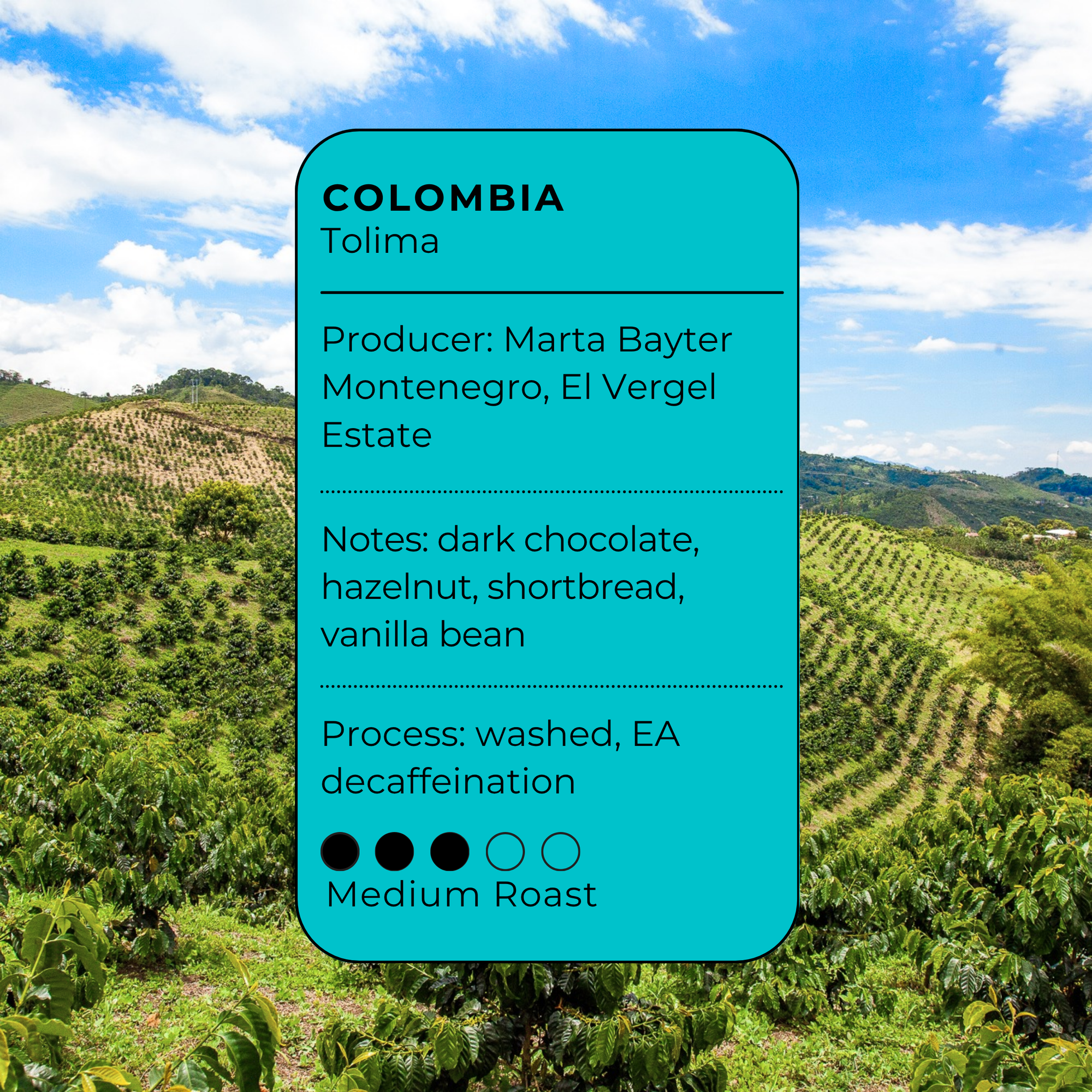 Eventide - Colombia Decaf