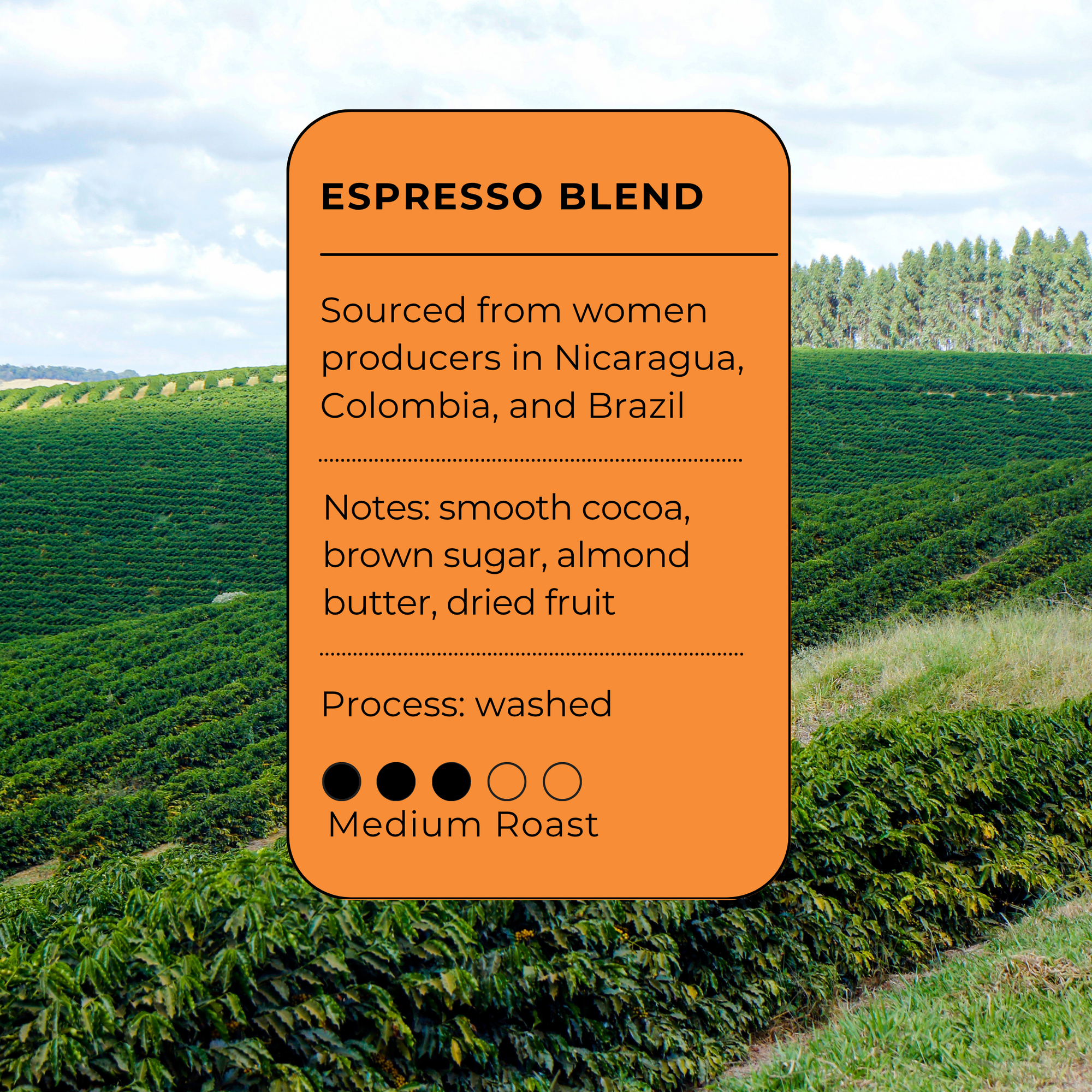Hellacious Espresso Blend