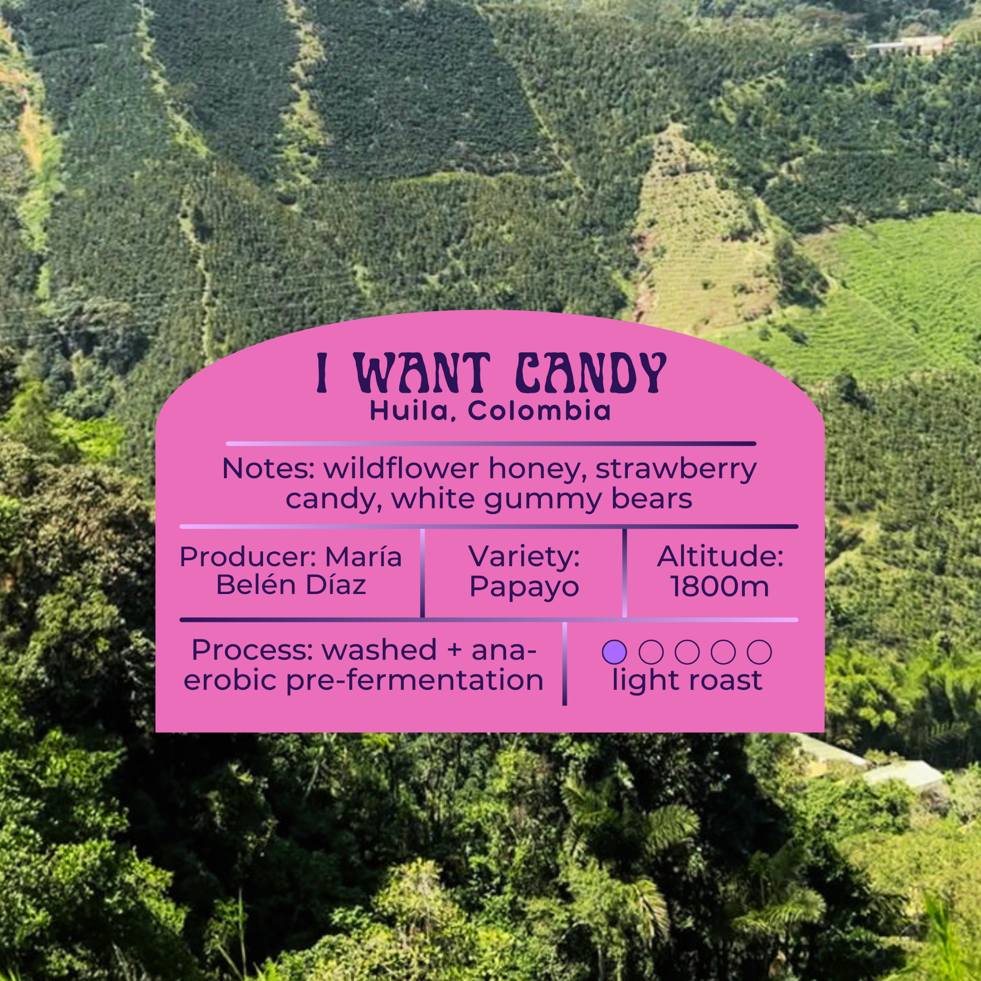 I Want Candy - Colombia Papayo