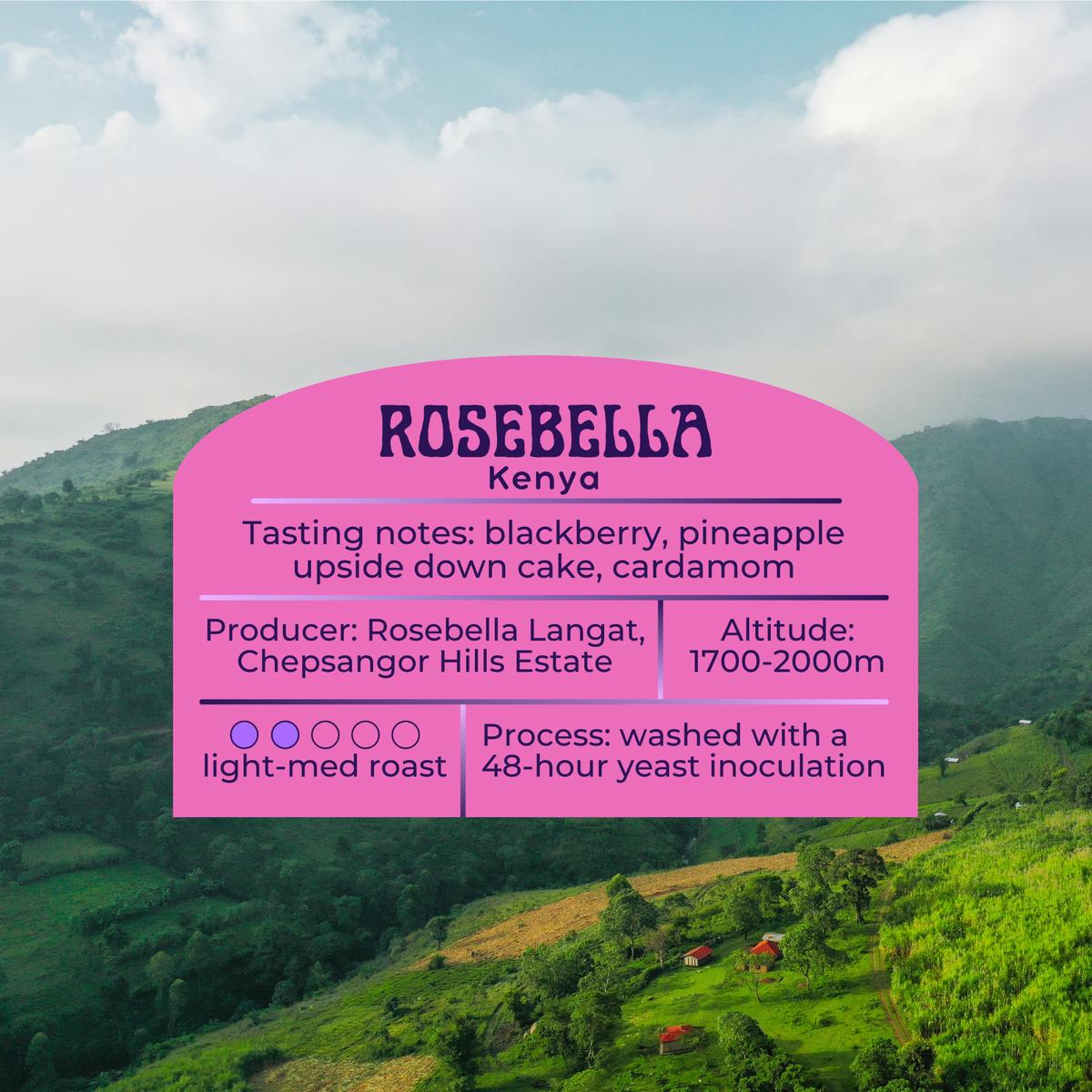 Rosebella - Kenya