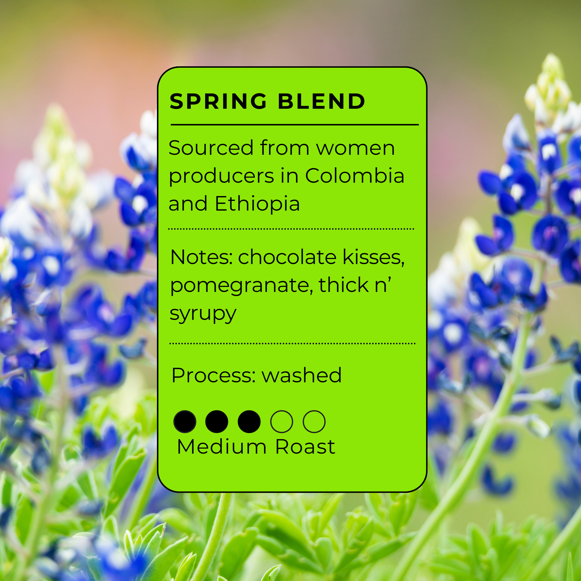 Mamma Mia Spring Blend