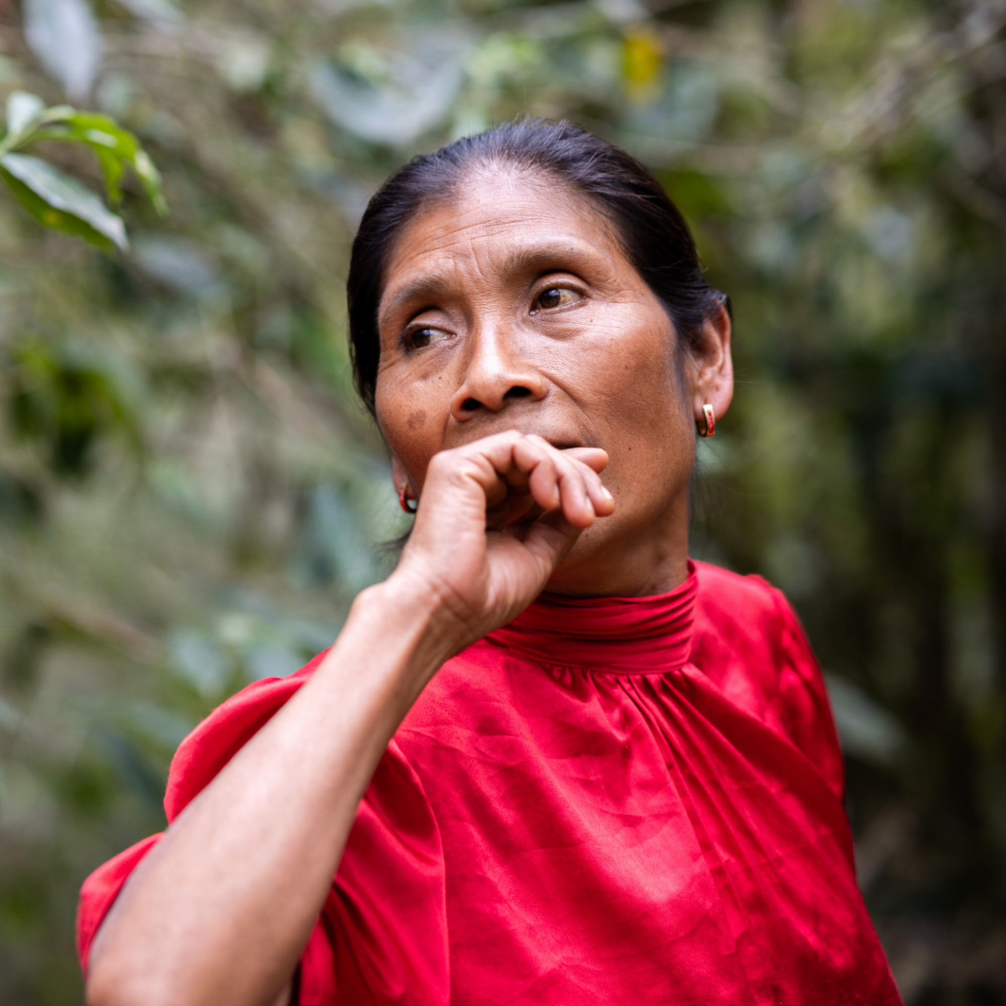 Mazateca Mujeres - Mexico