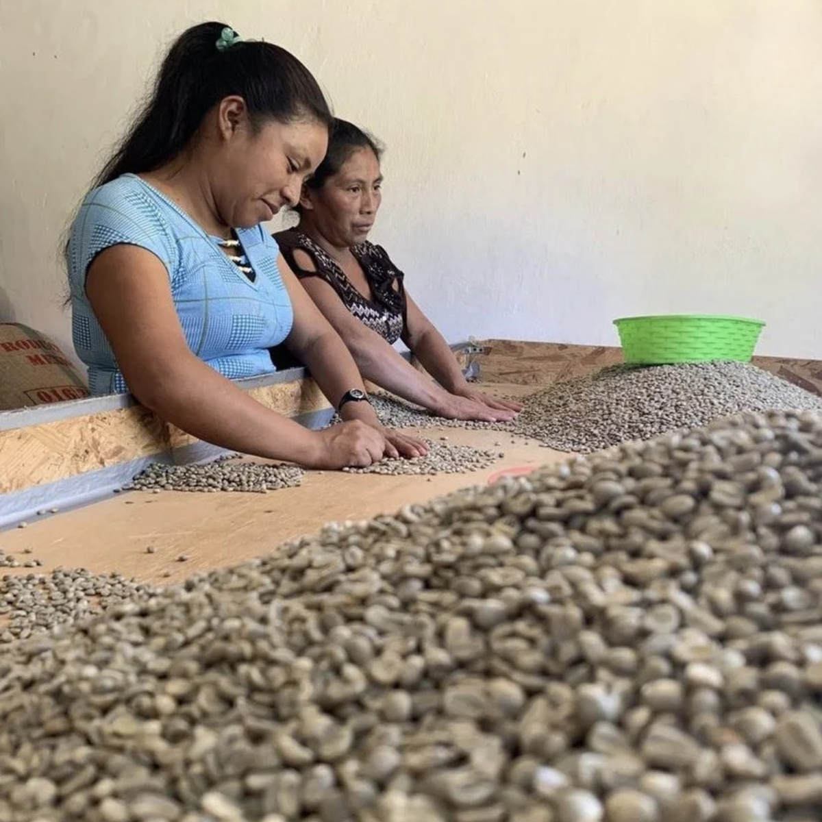 Mayan Harvest - Mexico