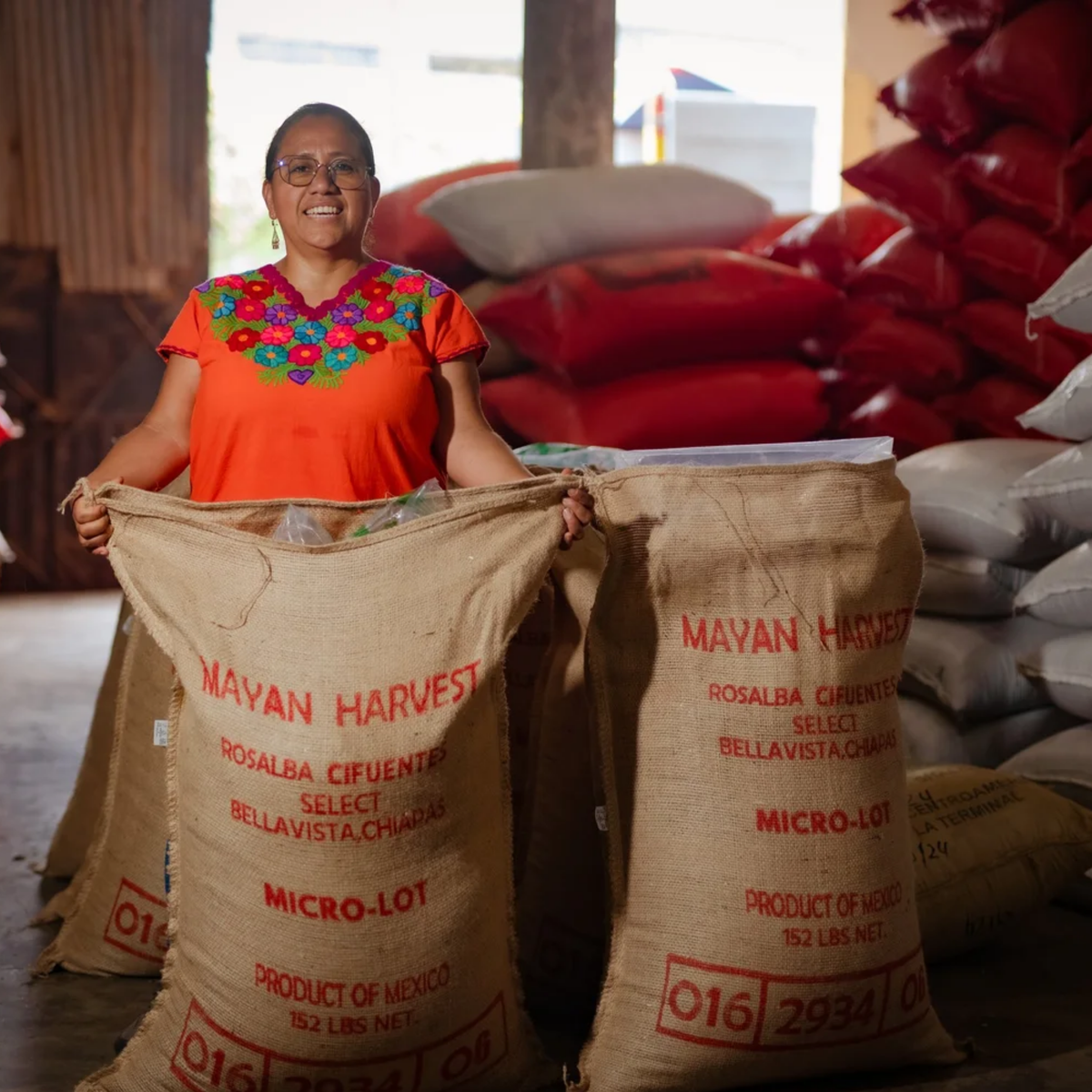 Mayan Harvest - Mexico