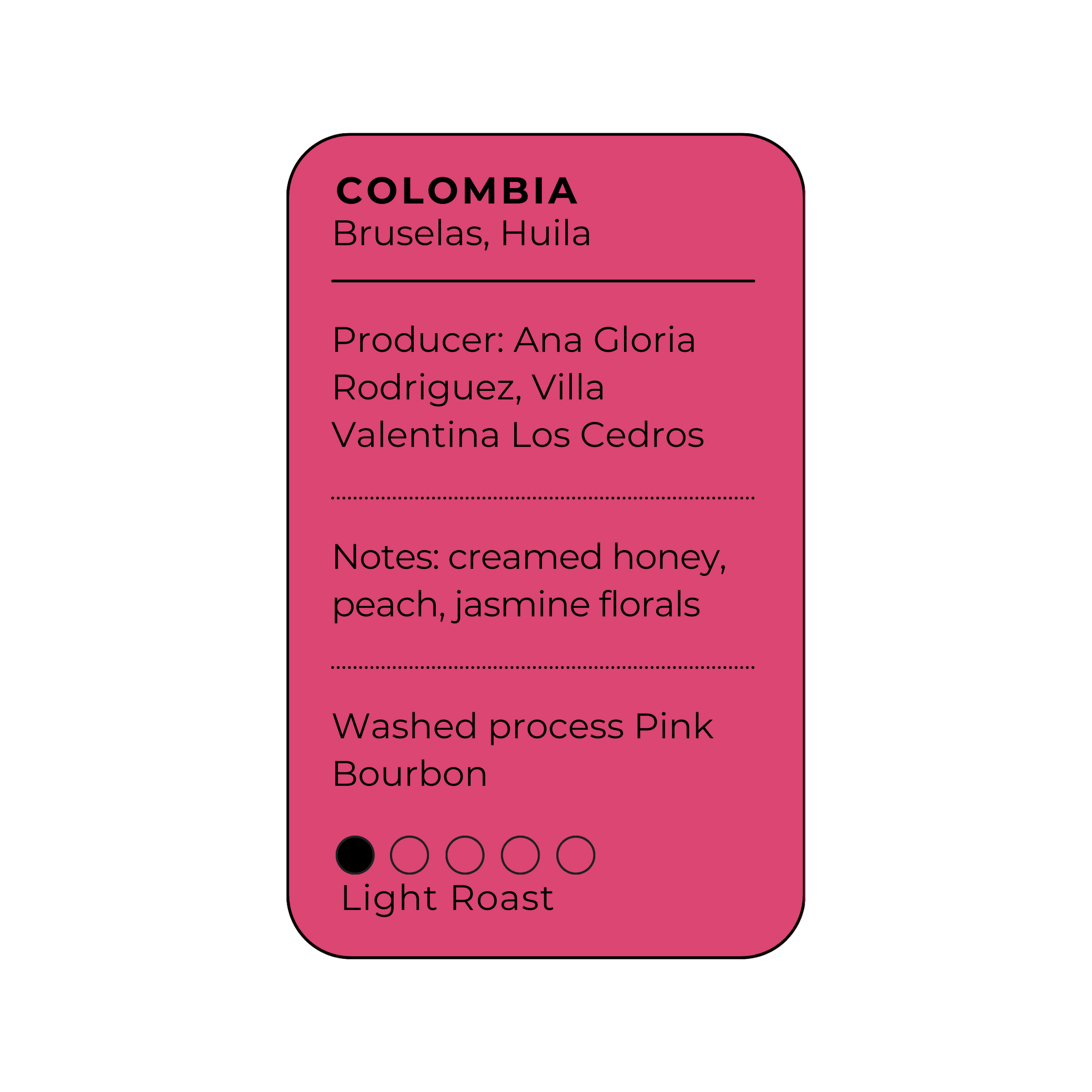Pink Pony - Colombia Pink Bourbon