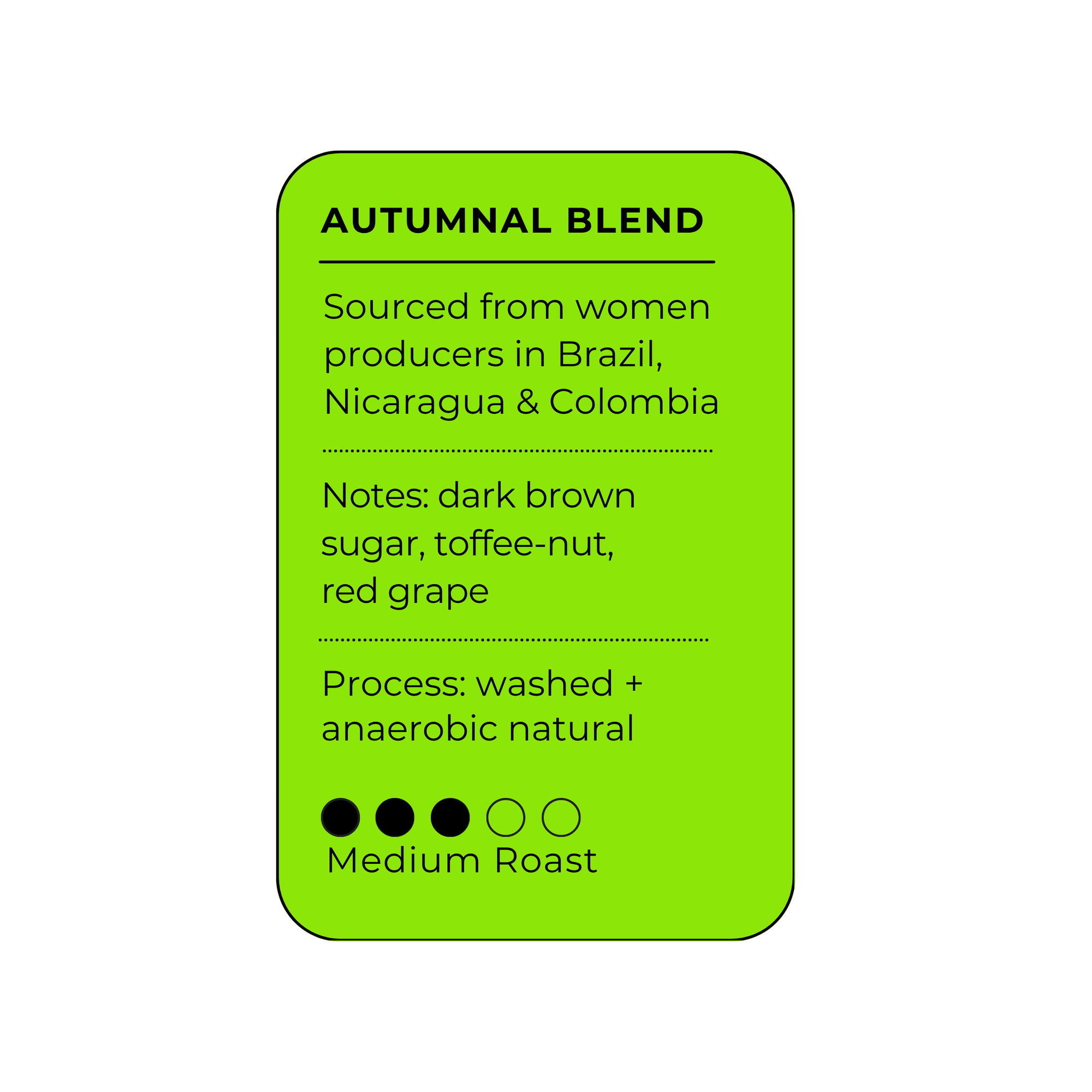 Practical Magic Autumnal Blend