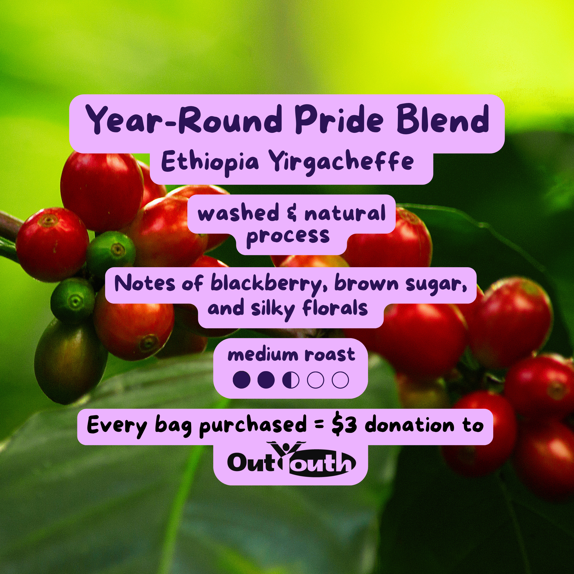 El Prisma Pride Blend