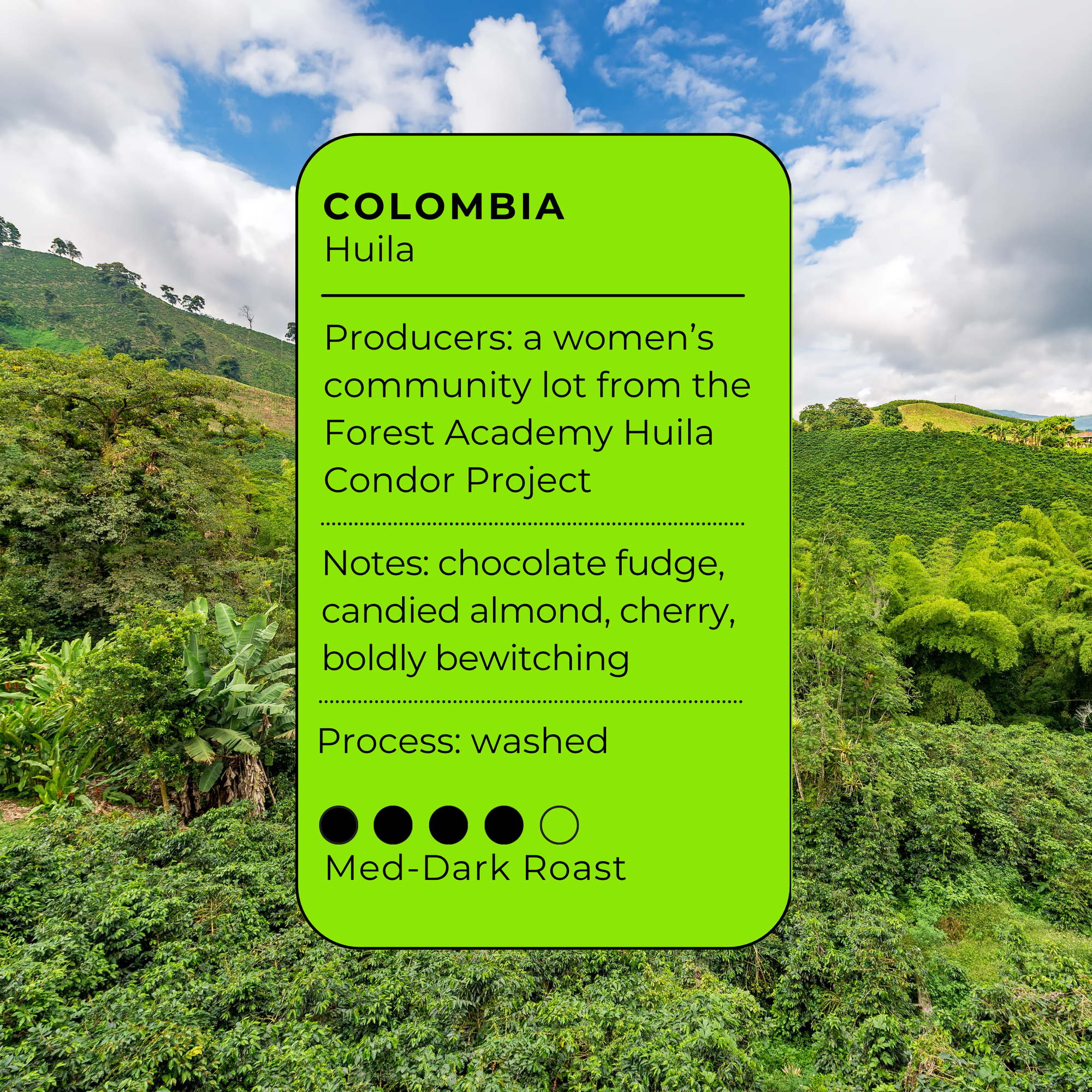 Season of the Witch - Colombia